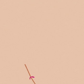 Floral animation designed for use in Chloé handbag promotional assets