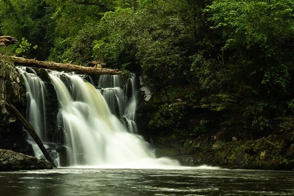 A watter fall in the forest.