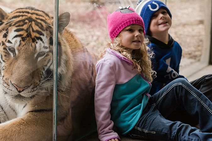 Two children, a boy and a girl, sitting in front of a tiger behind a window pane.