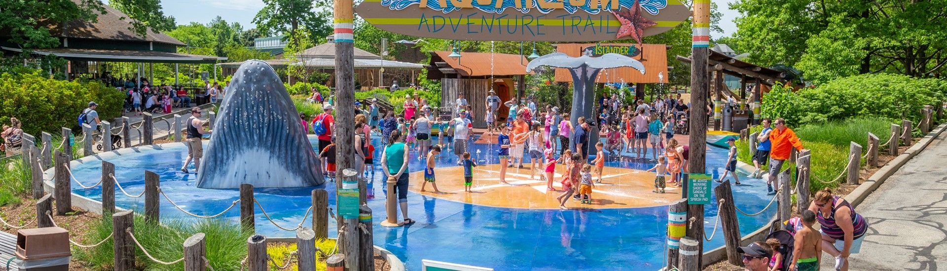 Families and children playing in the aquatic splash pad.