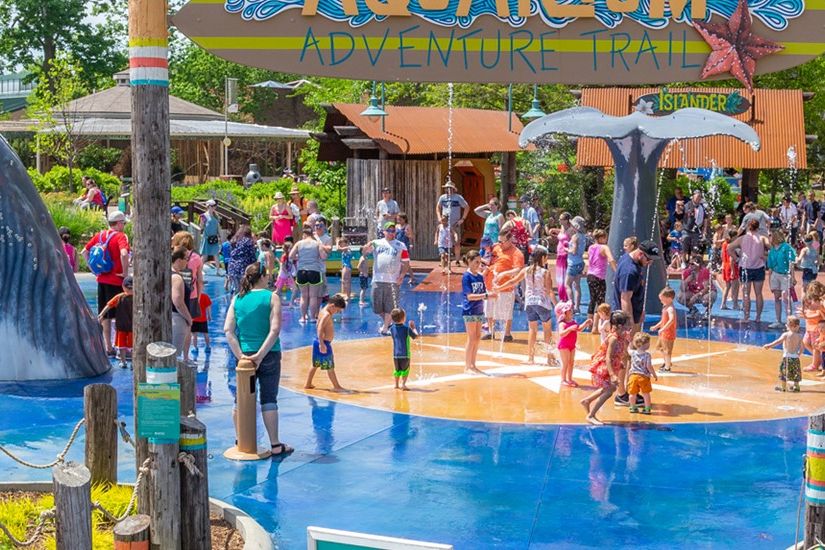 Families and children playing in the aquatic splash pad.