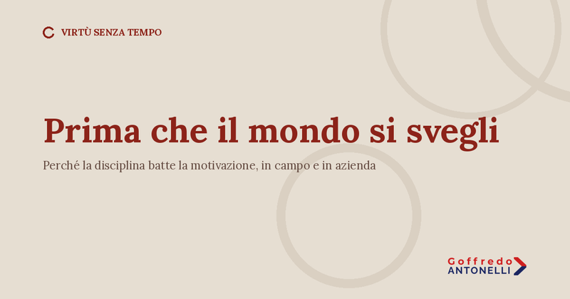 Prima che il mondo si svegli