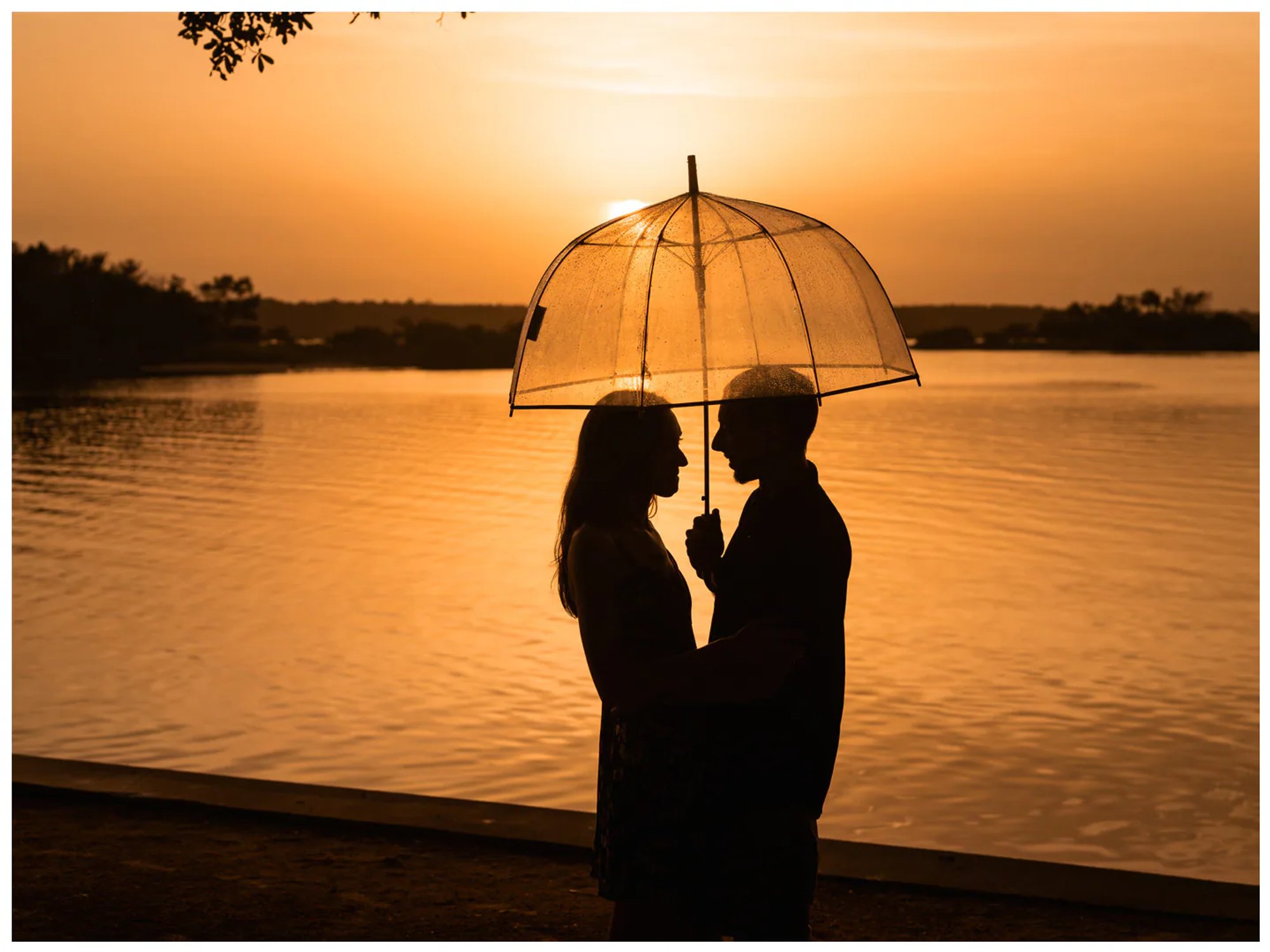 Wide silhouette of a couple beneath a clear umbrella beside the river at sunset at Washington Oaks.