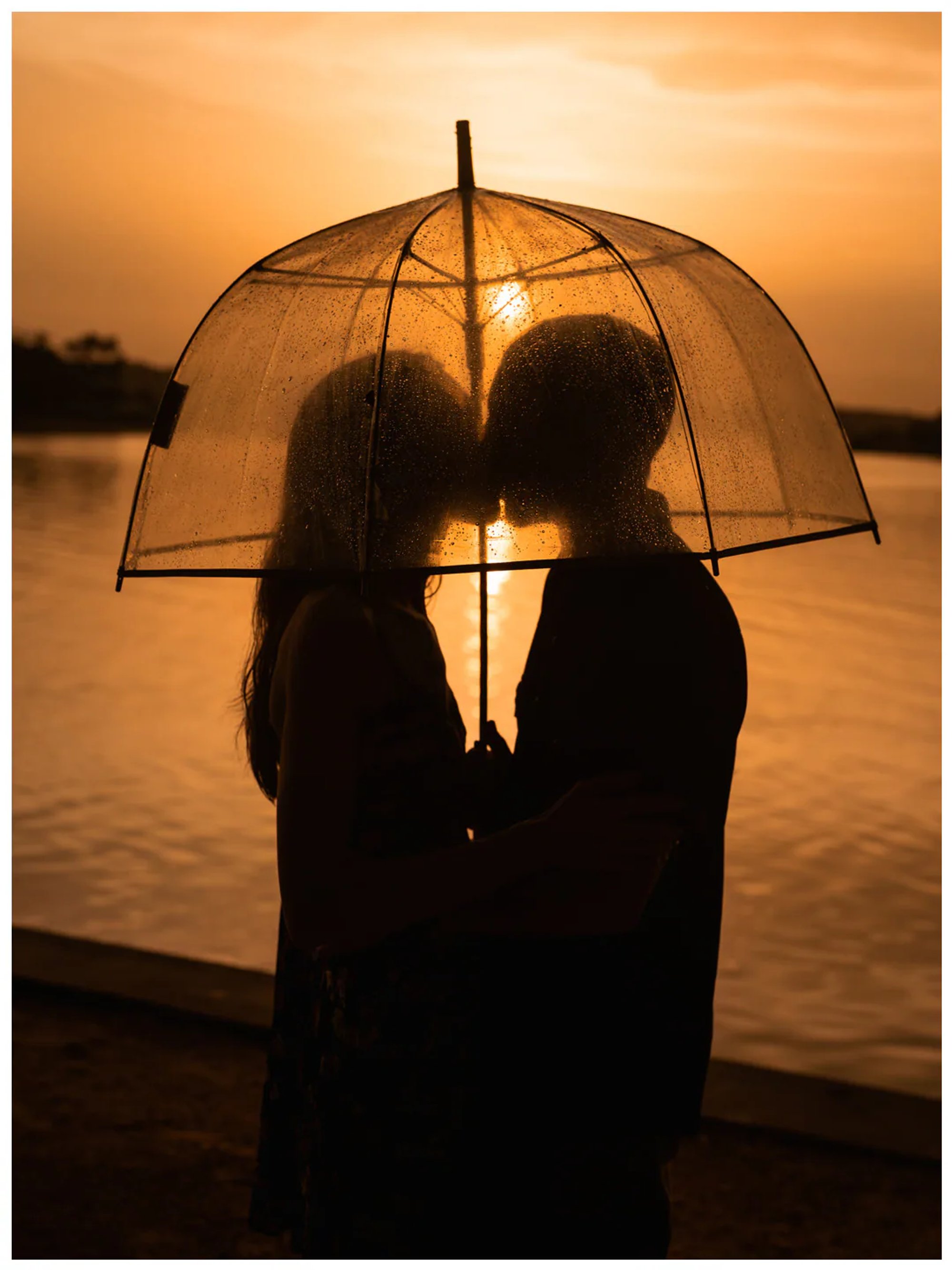 Couple kissing in silhouette behind a rain-speckled umbrella at Washington Oaks Gardens.