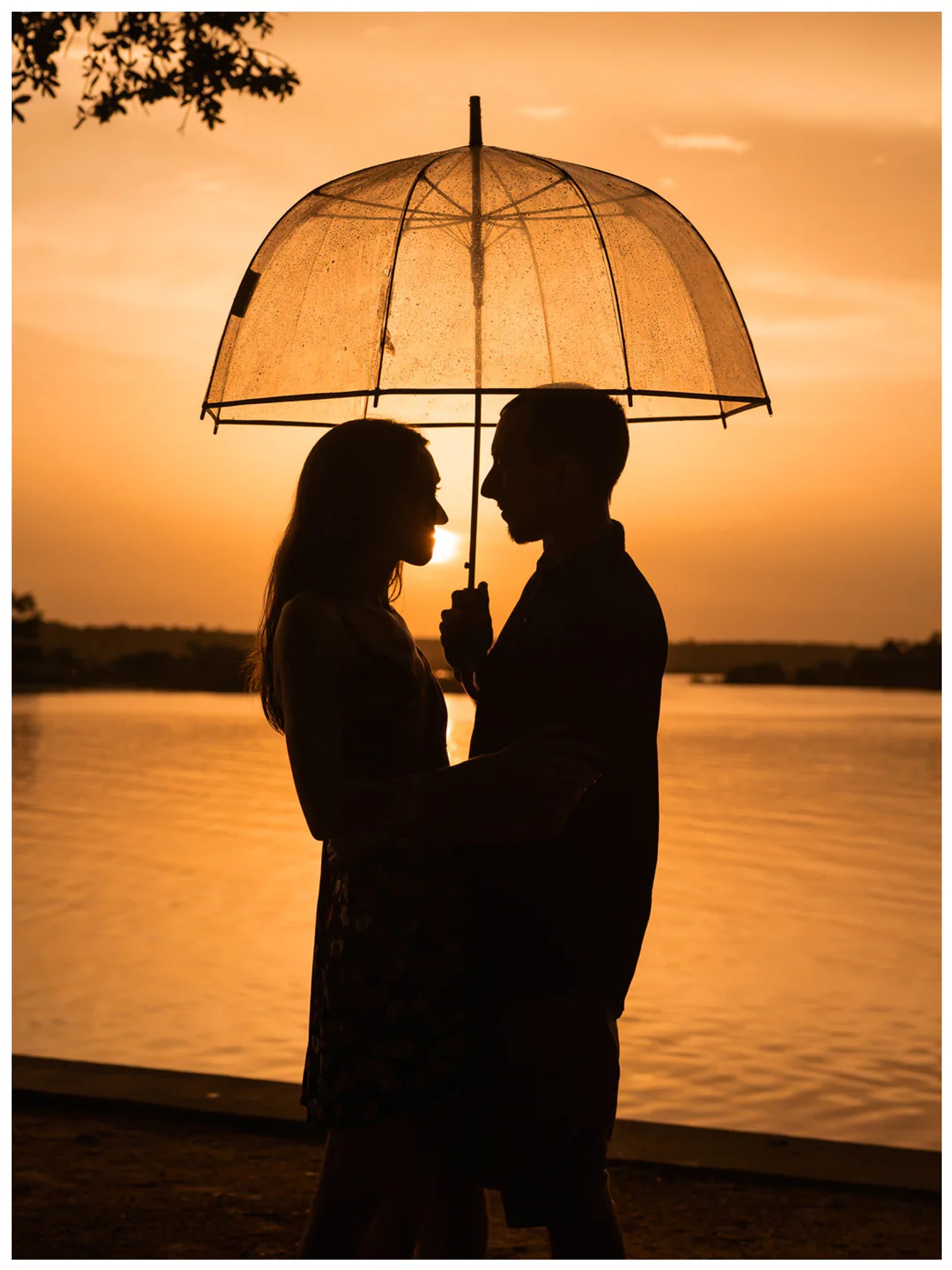 Full-length silhouette of a couple beneath a clear umbrella beside the river at Washington Oaks Gardens.