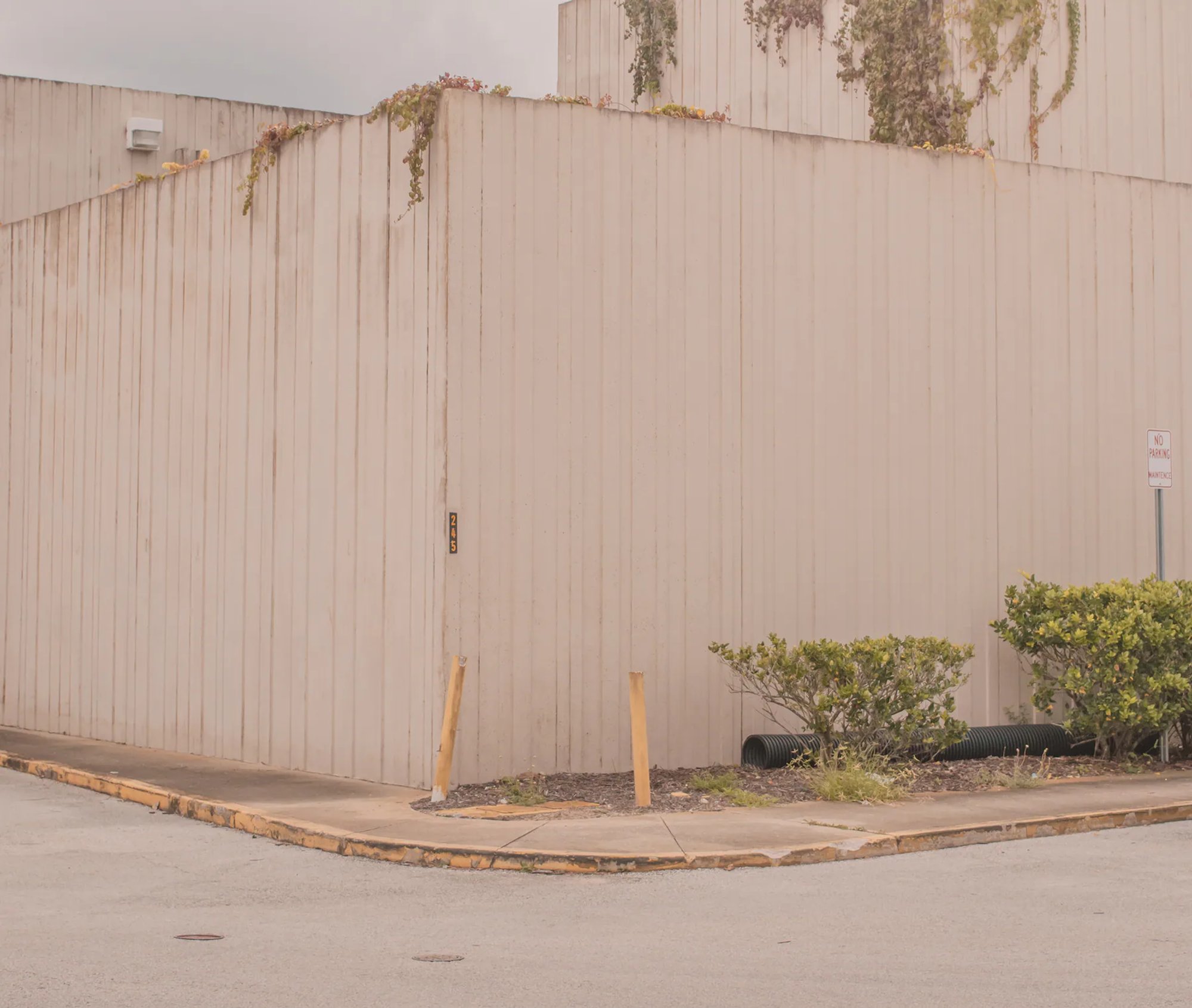 Pale corrugated warehouse wall with shrubs along the curb.