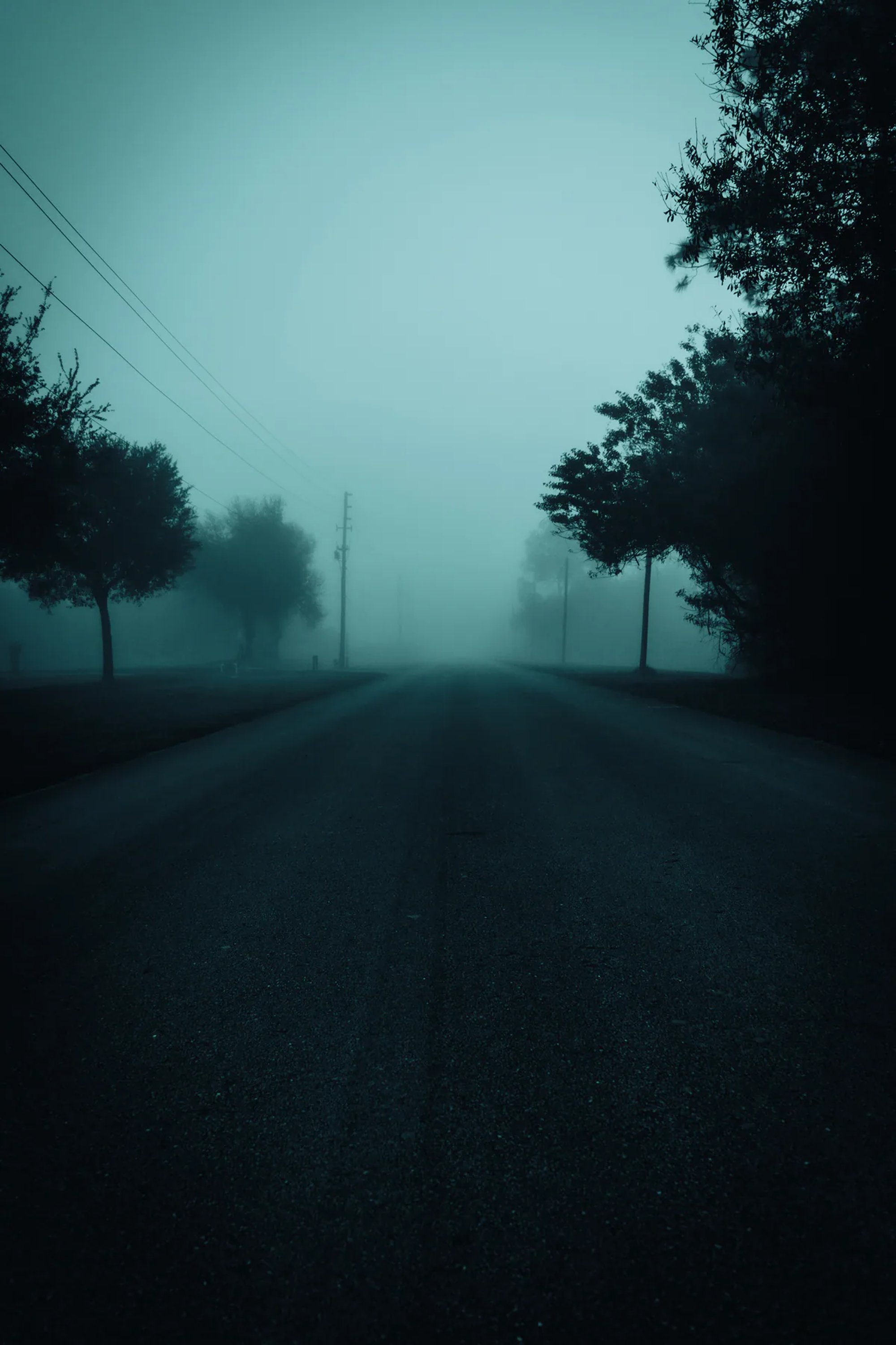 Empty tree-lined road fading into dense blue fog.