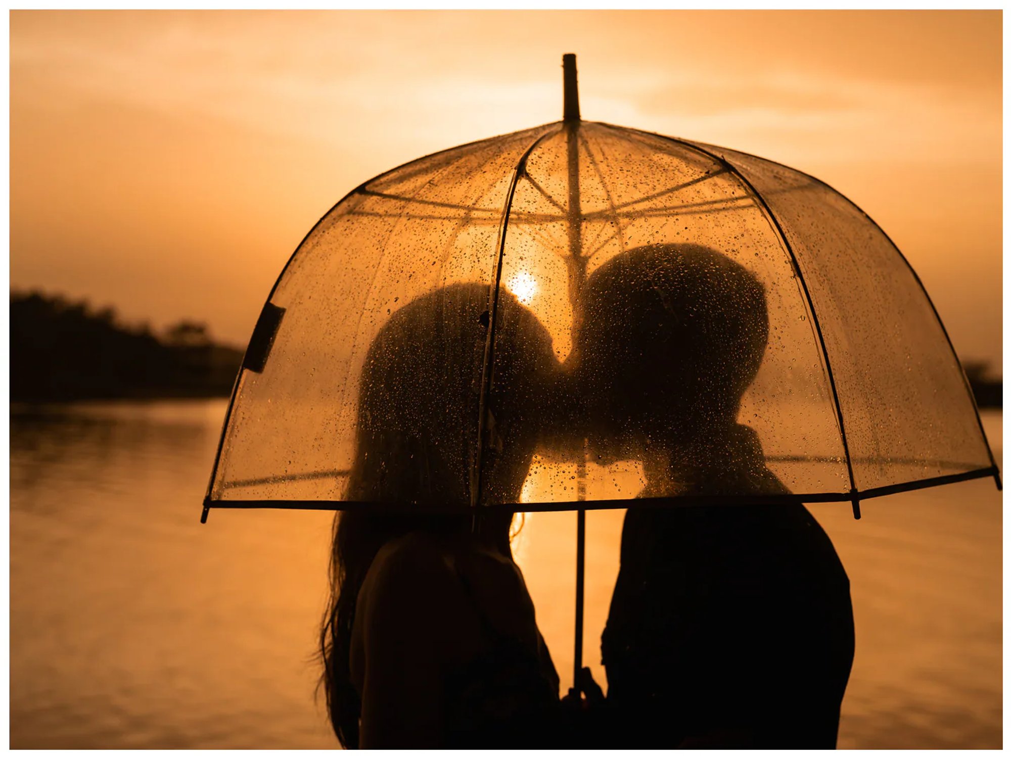 Close silhouettes of a couple facing one another beneath an umbrella during a Washington Oaks sunset session.
