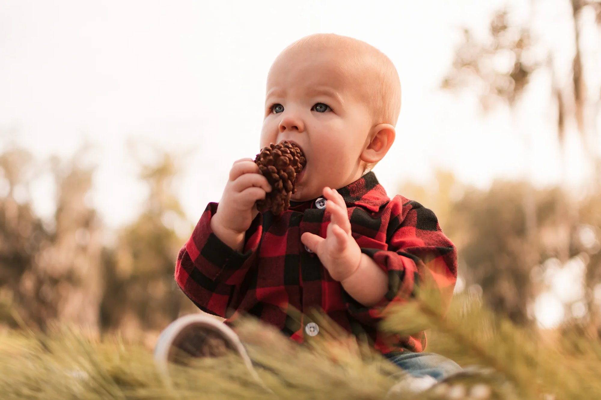 Baby in red-and-black plaid holding a pine cone outdoors.