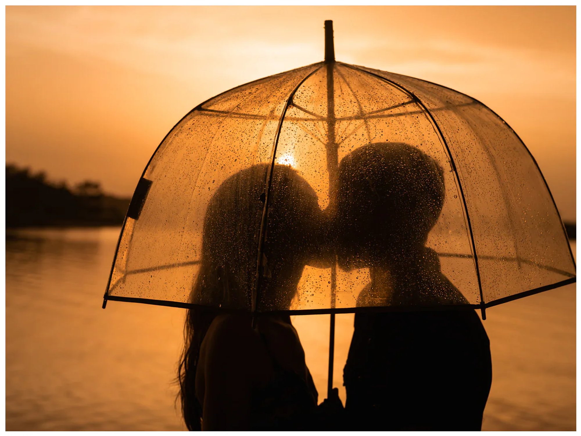 Close silhouette of a couple beneath an umbrella with the sunset between their faces at Washington Oaks.