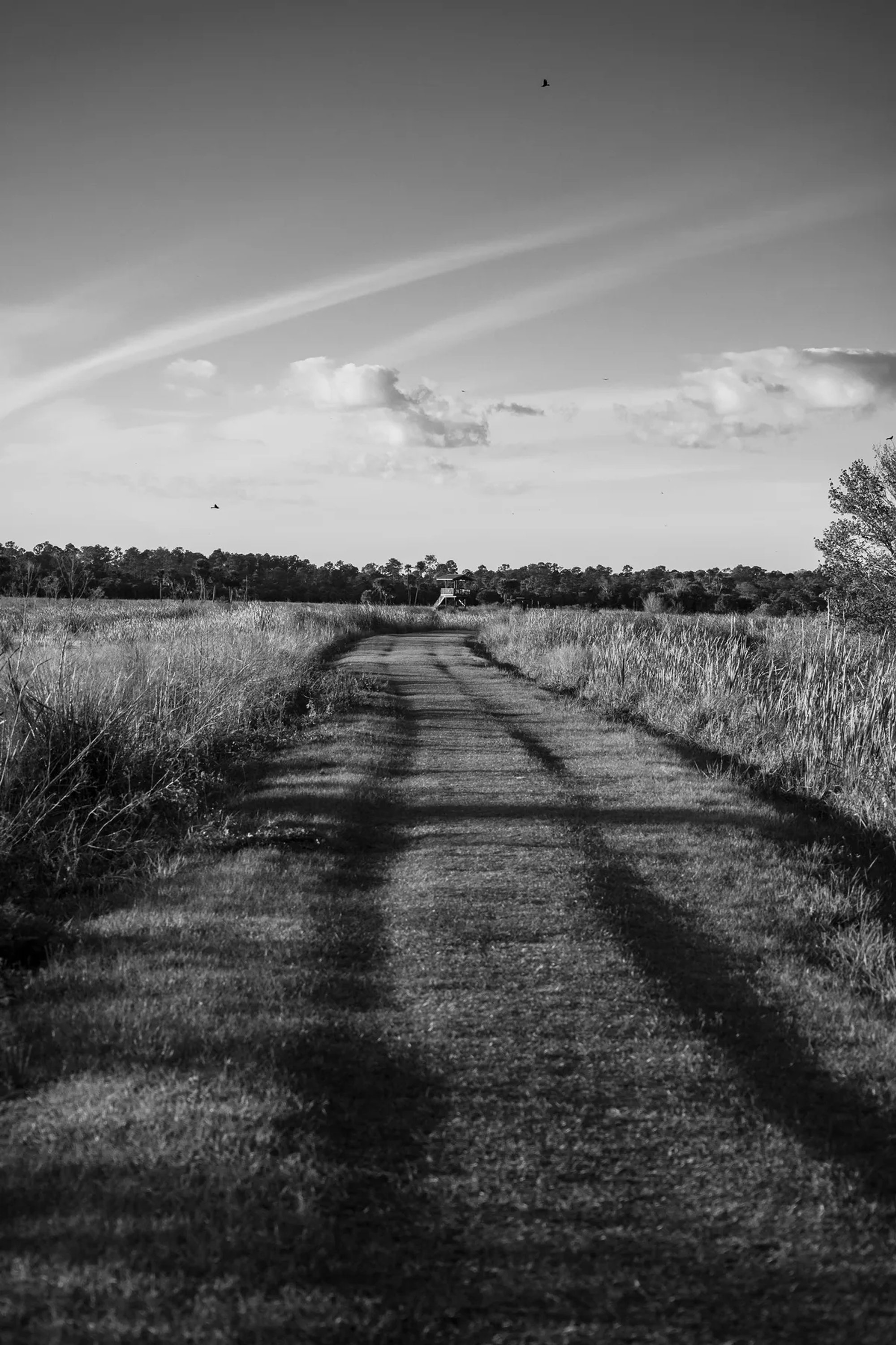 Dirt track running through open grassland beneath a clouded sky.