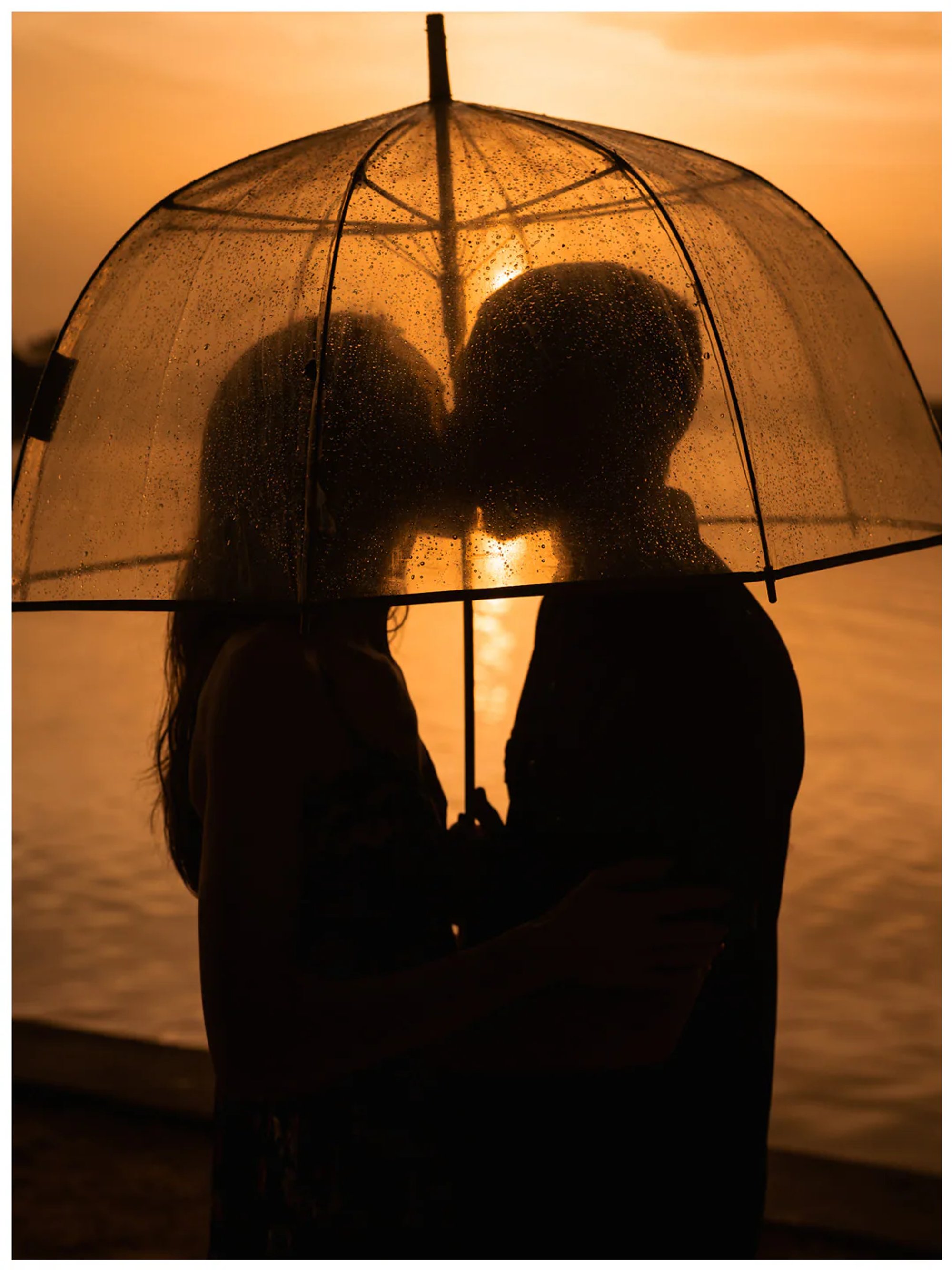 Close silhouette of a couple kissing beneath a clear umbrella at sunset at Washington Oaks Gardens State Park.