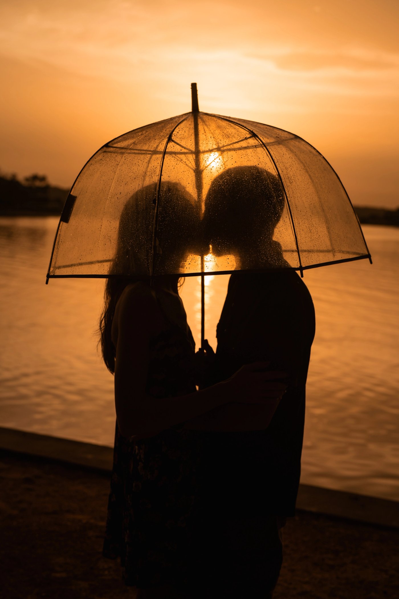 Couples kissing Portrait in the sunset under a rainy clear umbrella