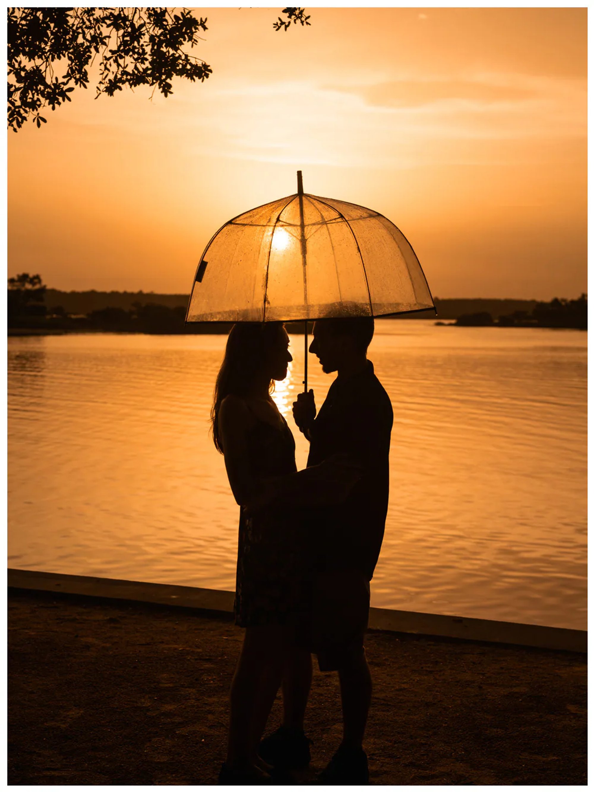 Wide silhouette portrait of a couple standing beneath an umbrella at sunset at Washington Oaks.