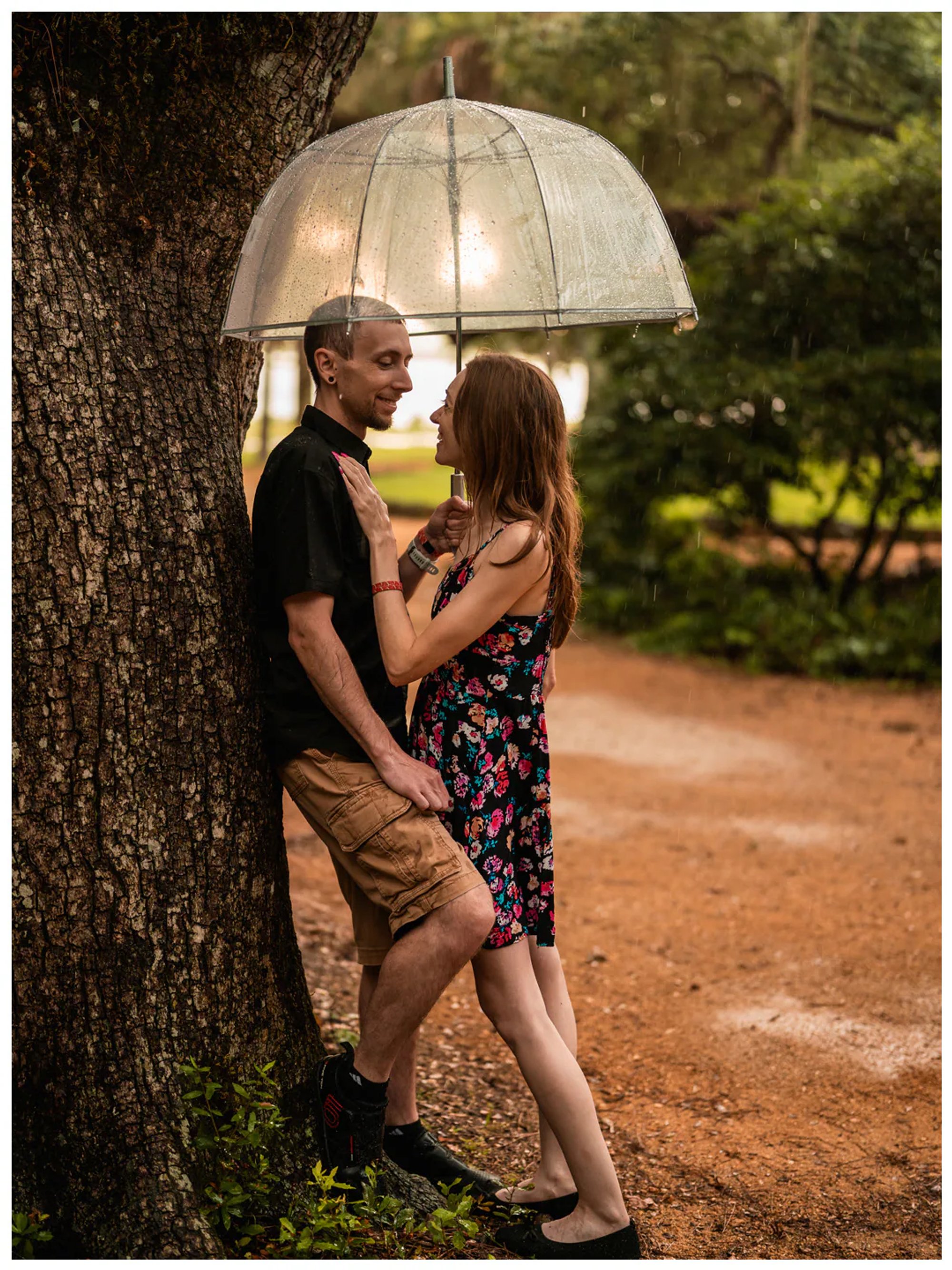 Couple embracing beside a large oak tree under a clear umbrella at Washington Oaks Gardens.
