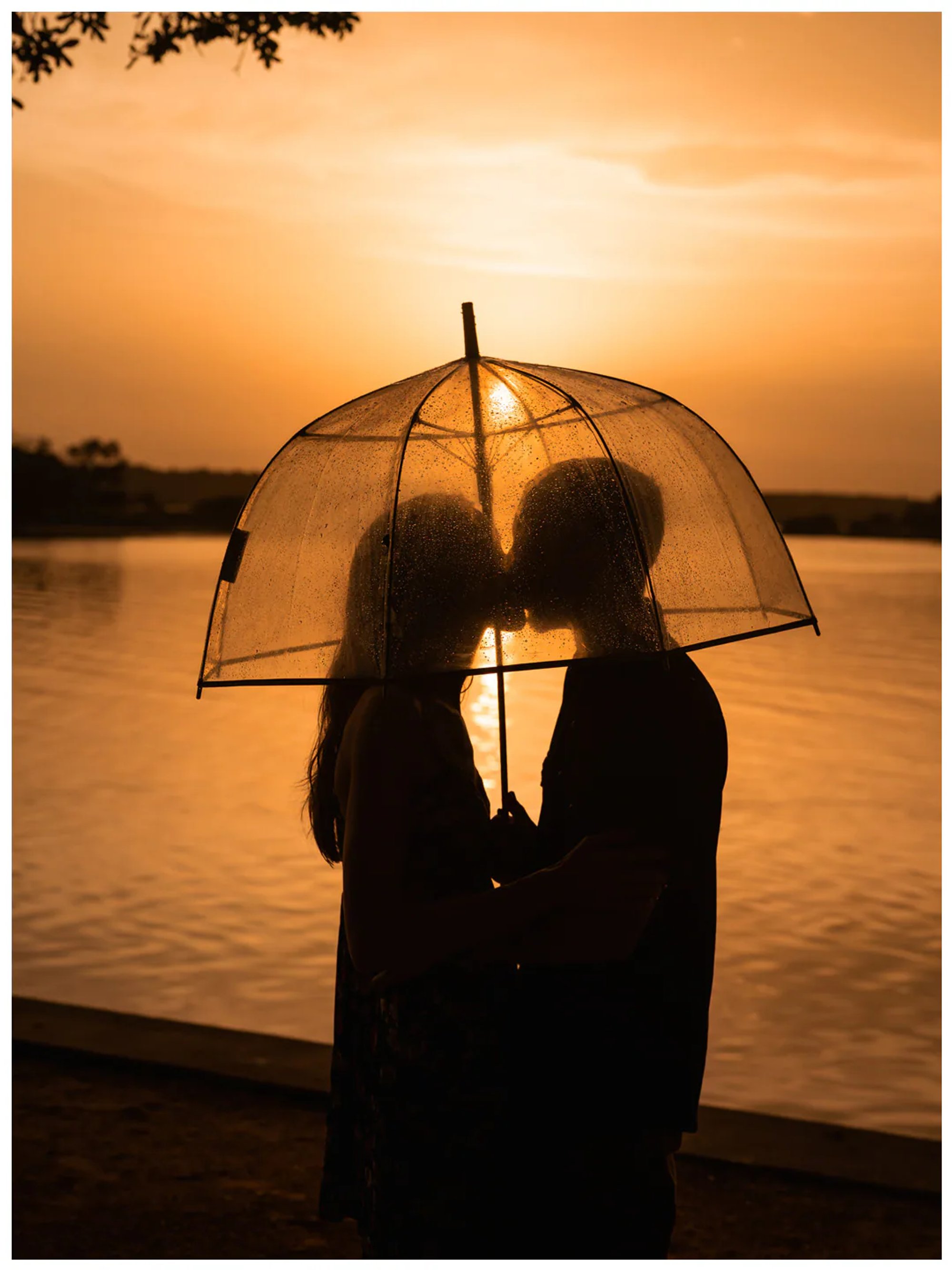 Silhouetted couple embracing beneath a clear umbrella during sunset at Washington Oaks Gardens State Park.