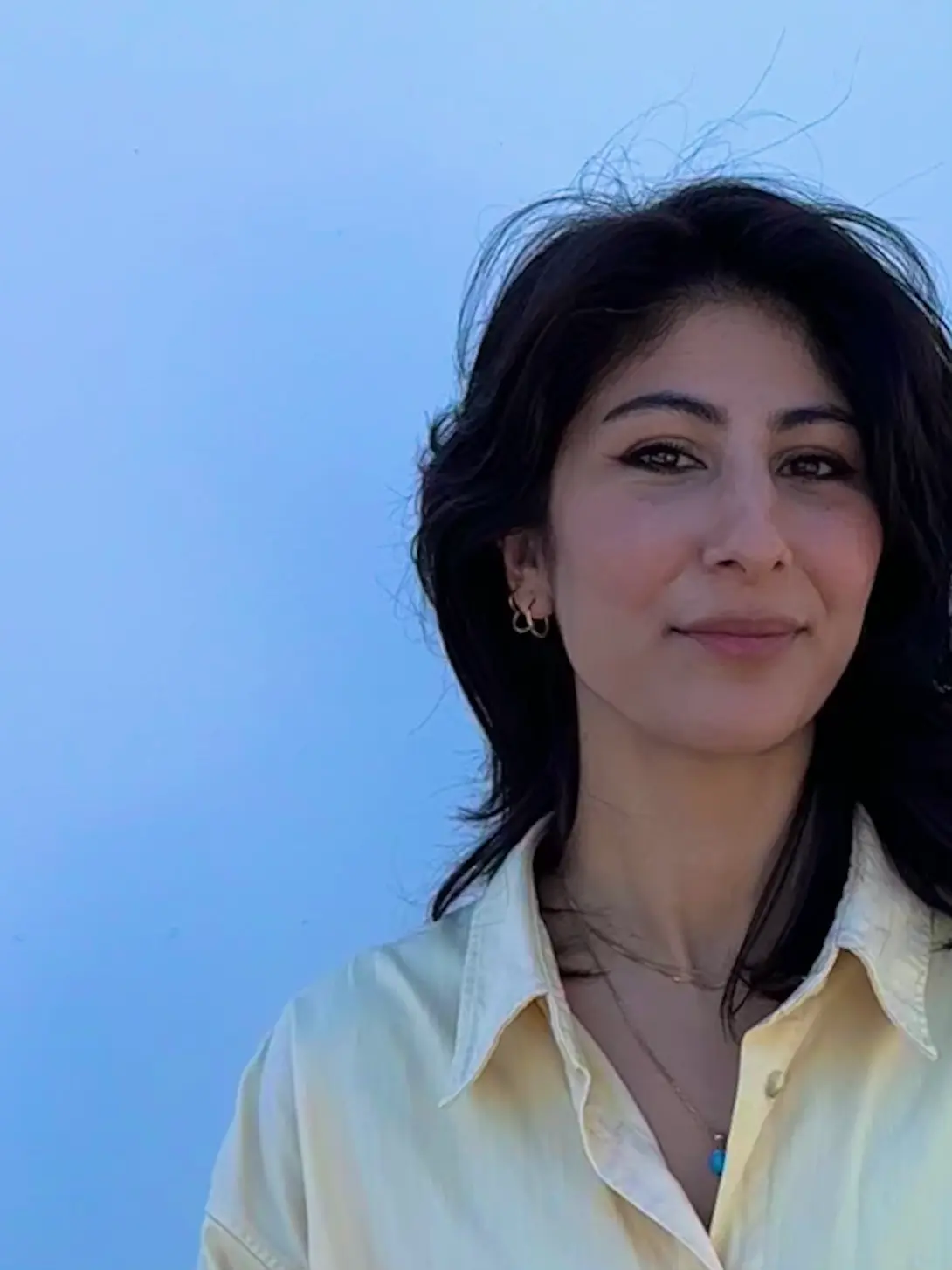 Shamin Yazdani