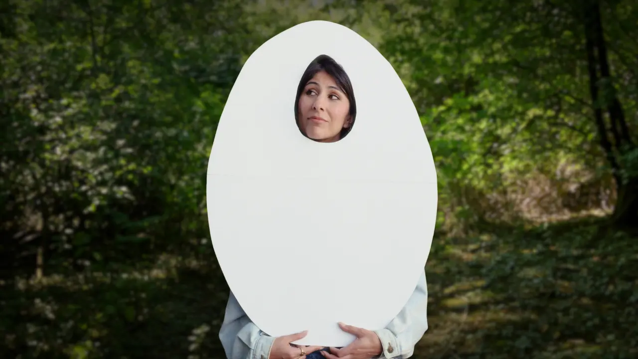 Frozen - My Eggs & Me 