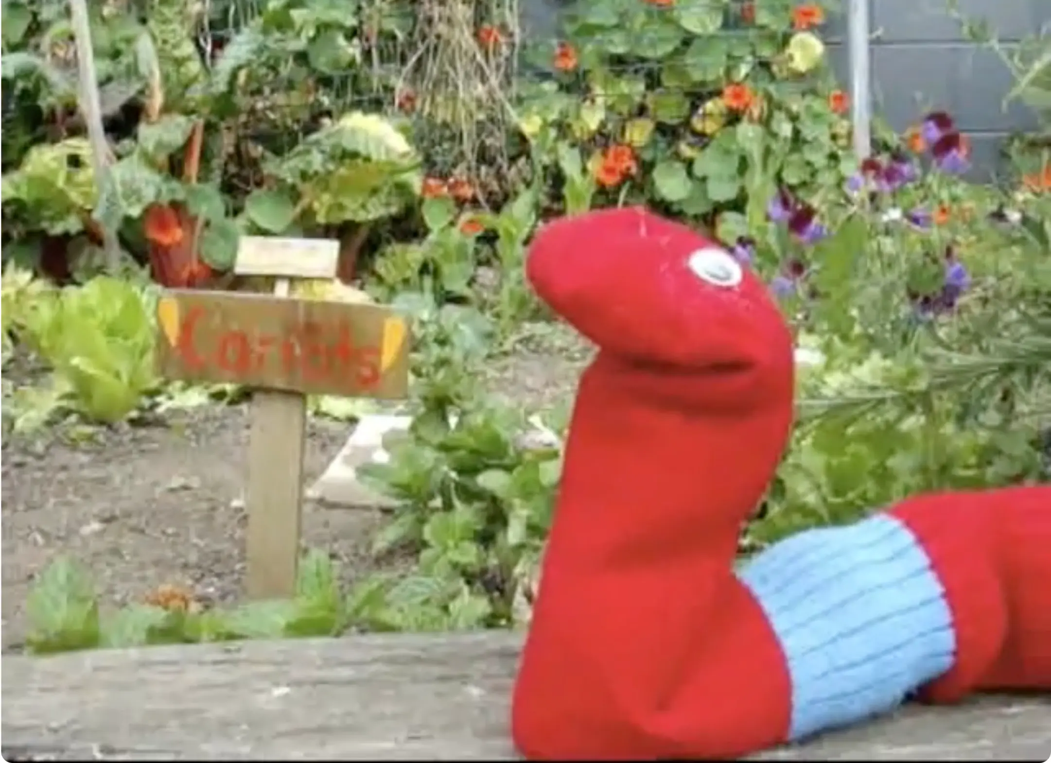 Sam the Superworm