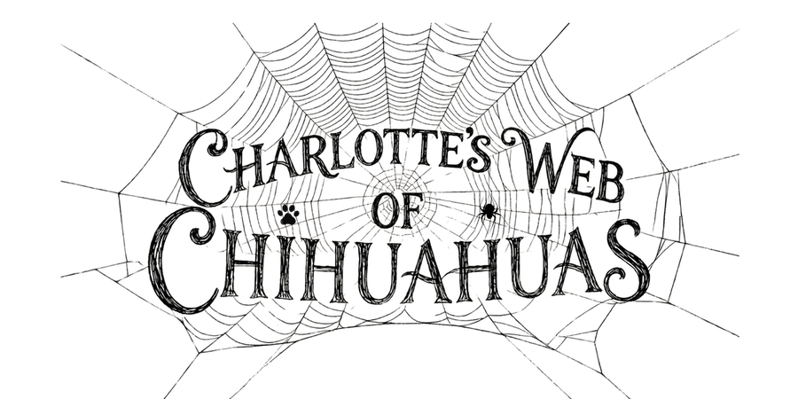 Charlotte's Web of Chihuahuas