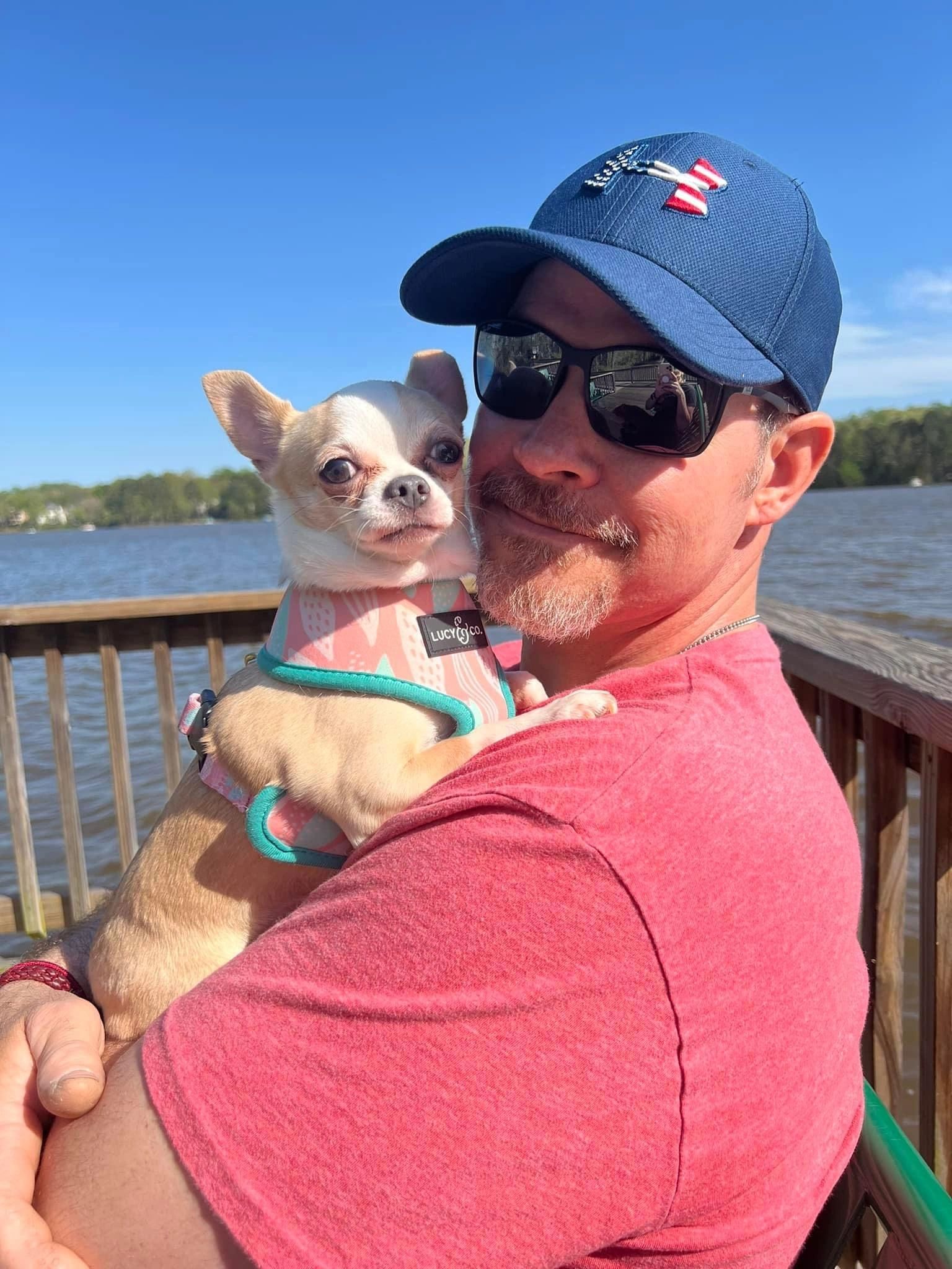 A Charlotte's Web Chihuahua