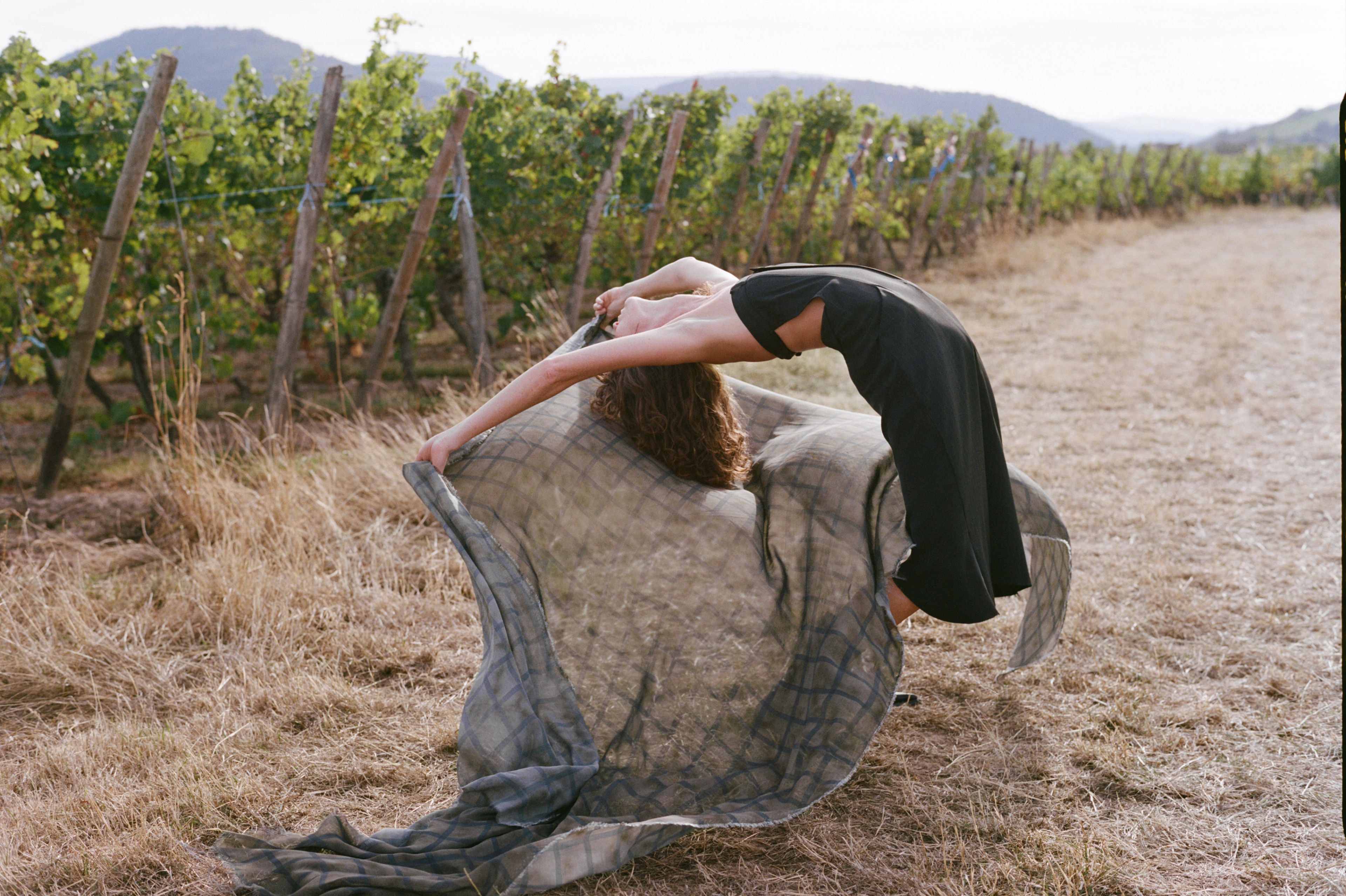 A Day Amongst the Vines