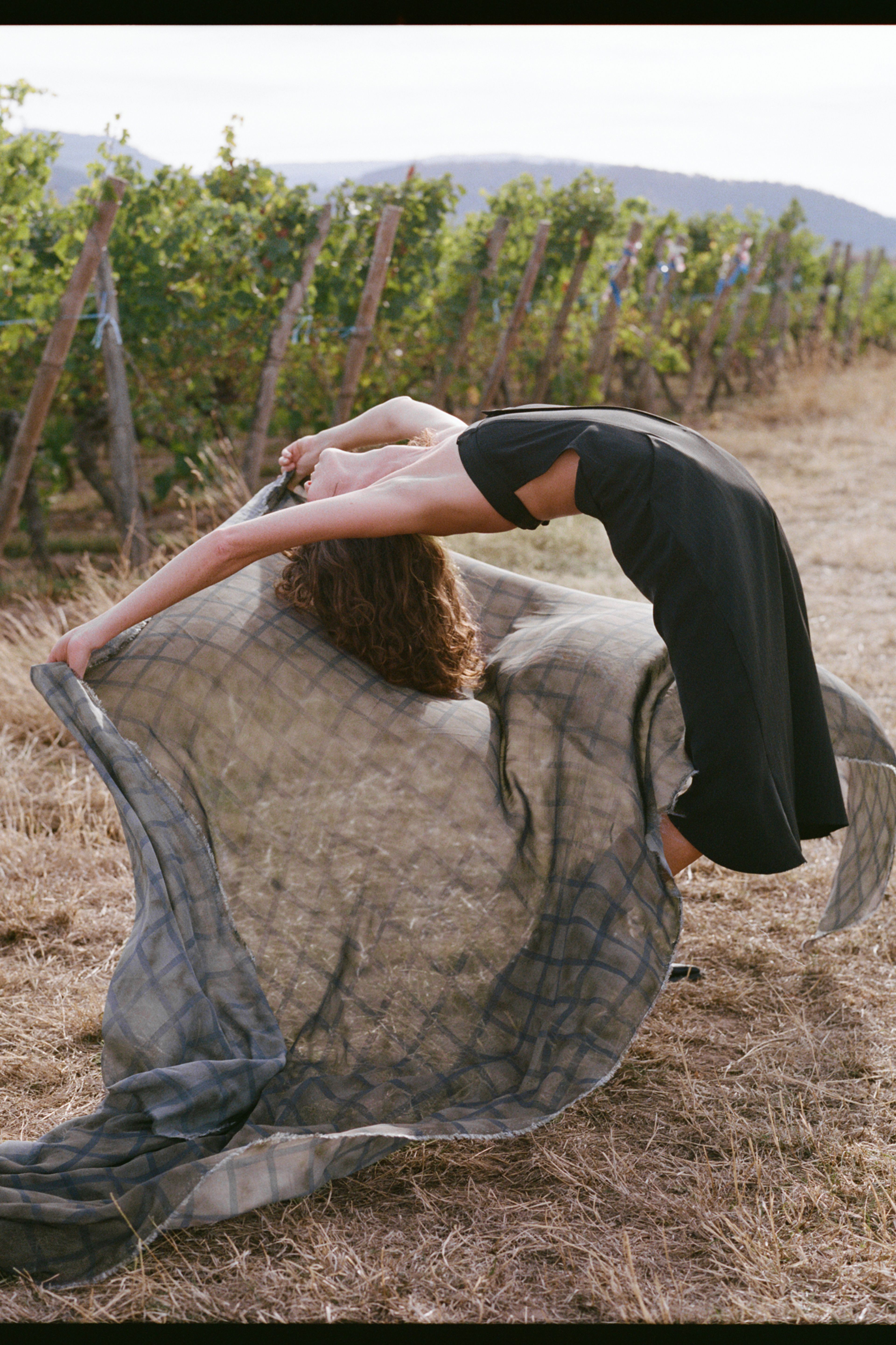 A Day Amongst the Vines