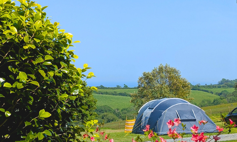 Heligan Campsite