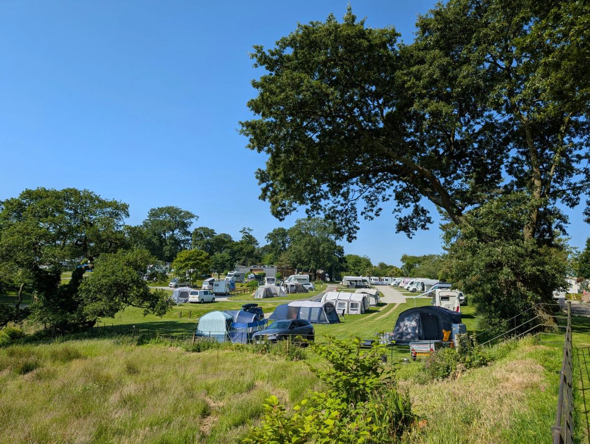 Heligan Campsite