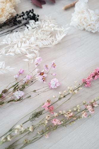 Tamina & Jolina (Bild 13)