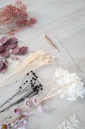 Tamina & Jolina (Bild 12)