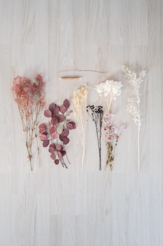 Tamina & Jolina (Bild 5)