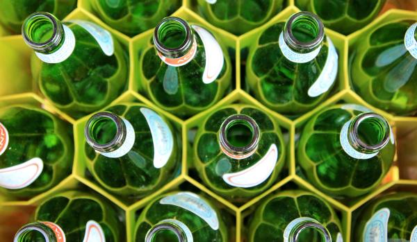 Rows of uncapped green bottles in a yellow container.