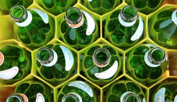 Rows of uncapped green bottles in a yellow container.