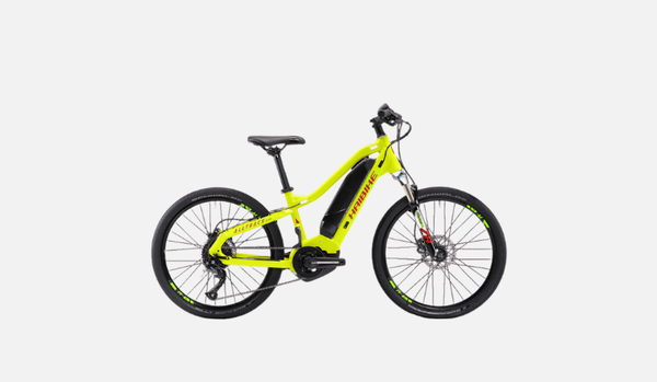 Haibike AllTrack Kids