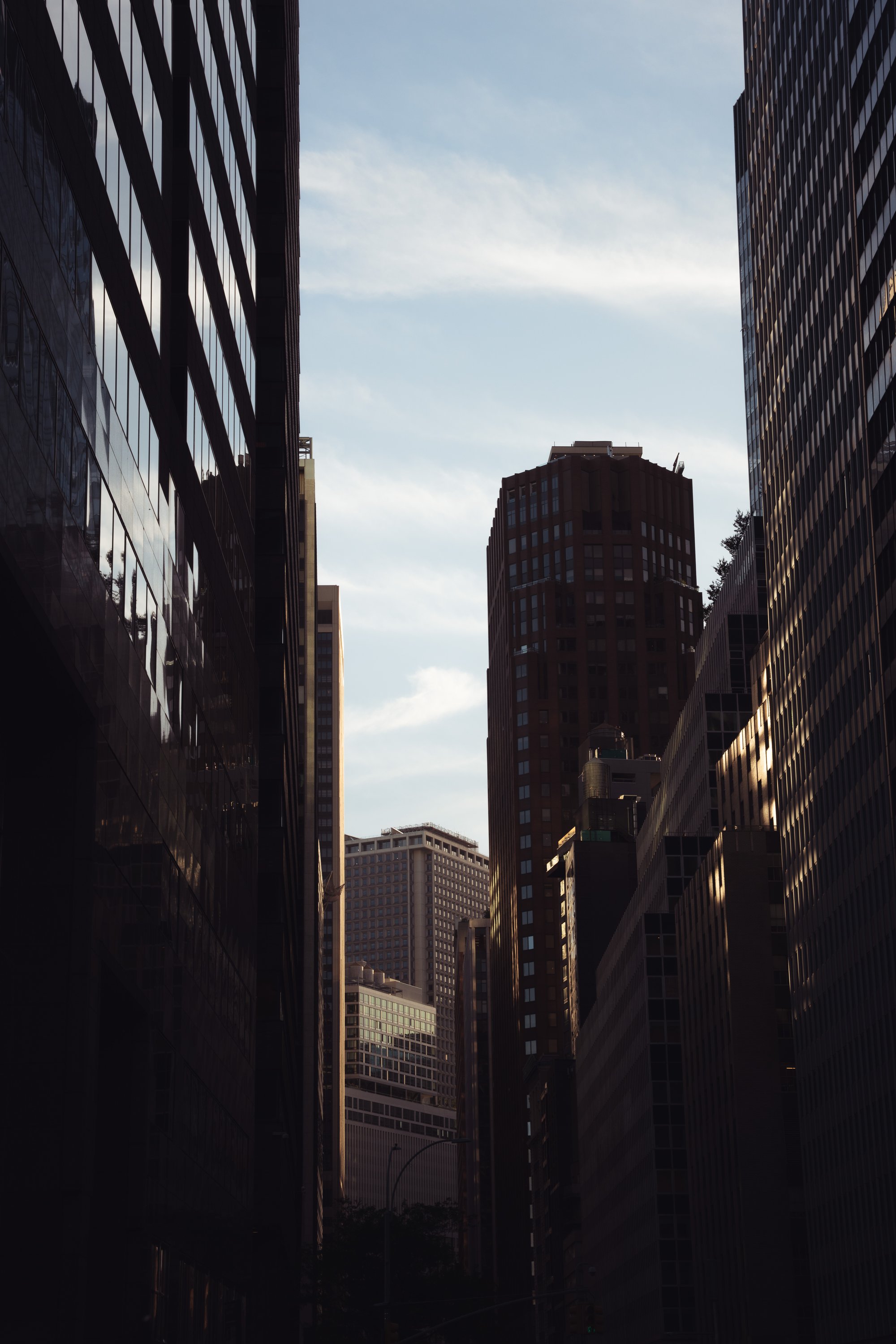 NeueHaus in New York