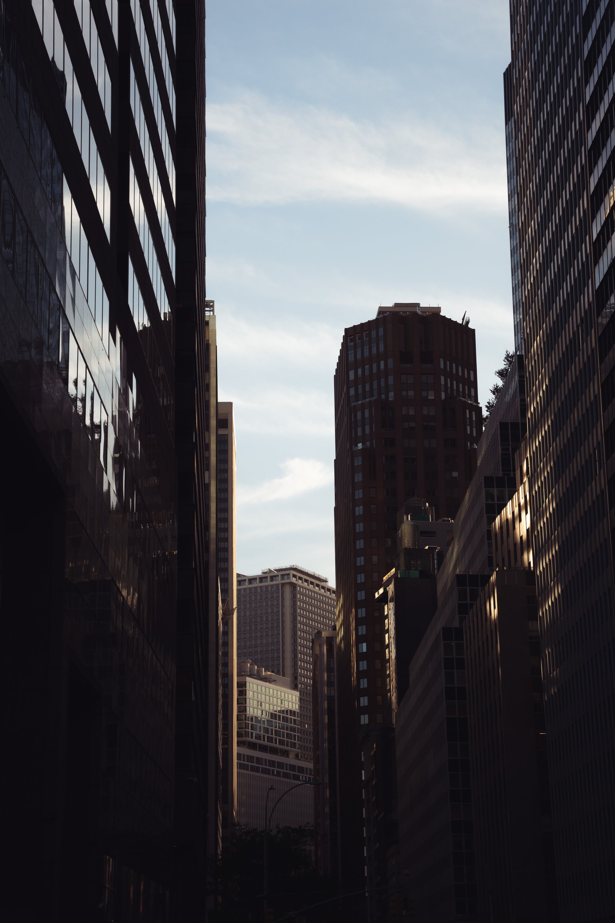 NeueHaus in New York