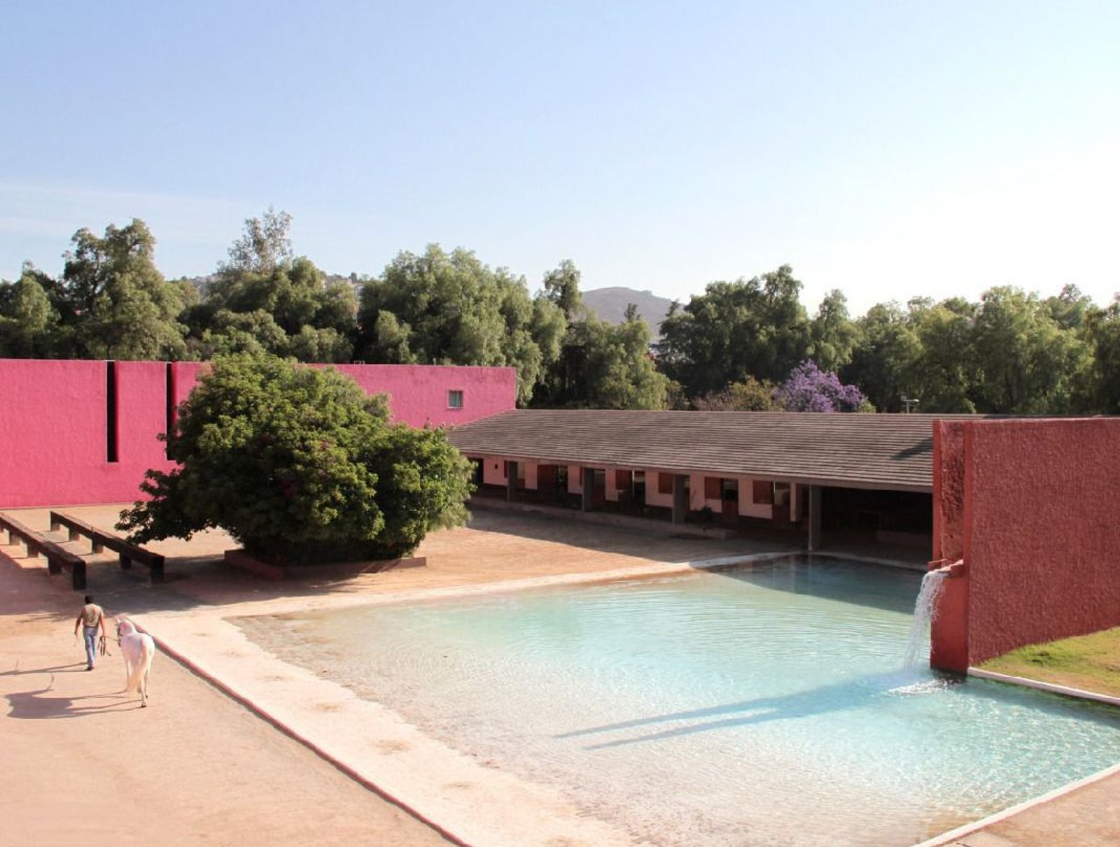 Your Guide to Mexico City Art Week 2026
