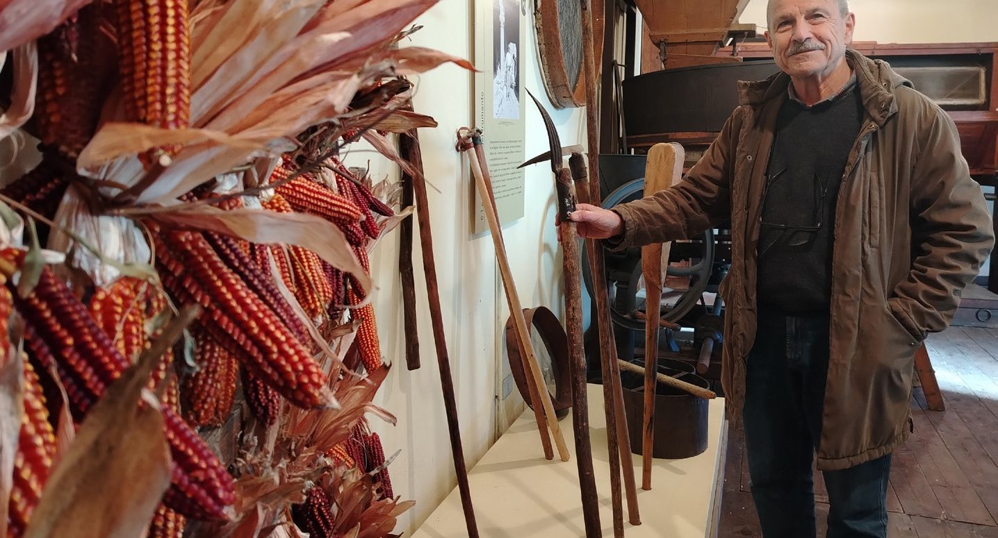 Le lucciole, le radici. E la memoria