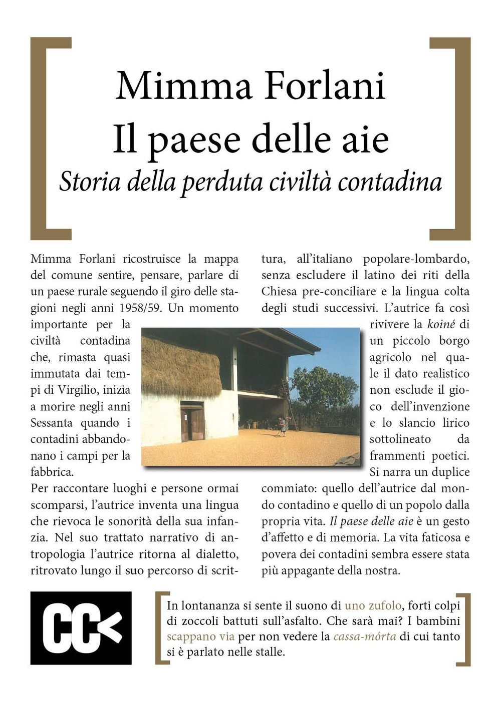 Il paese delle aie: Storia della perduta civiltà contadina di Mimma Forlani