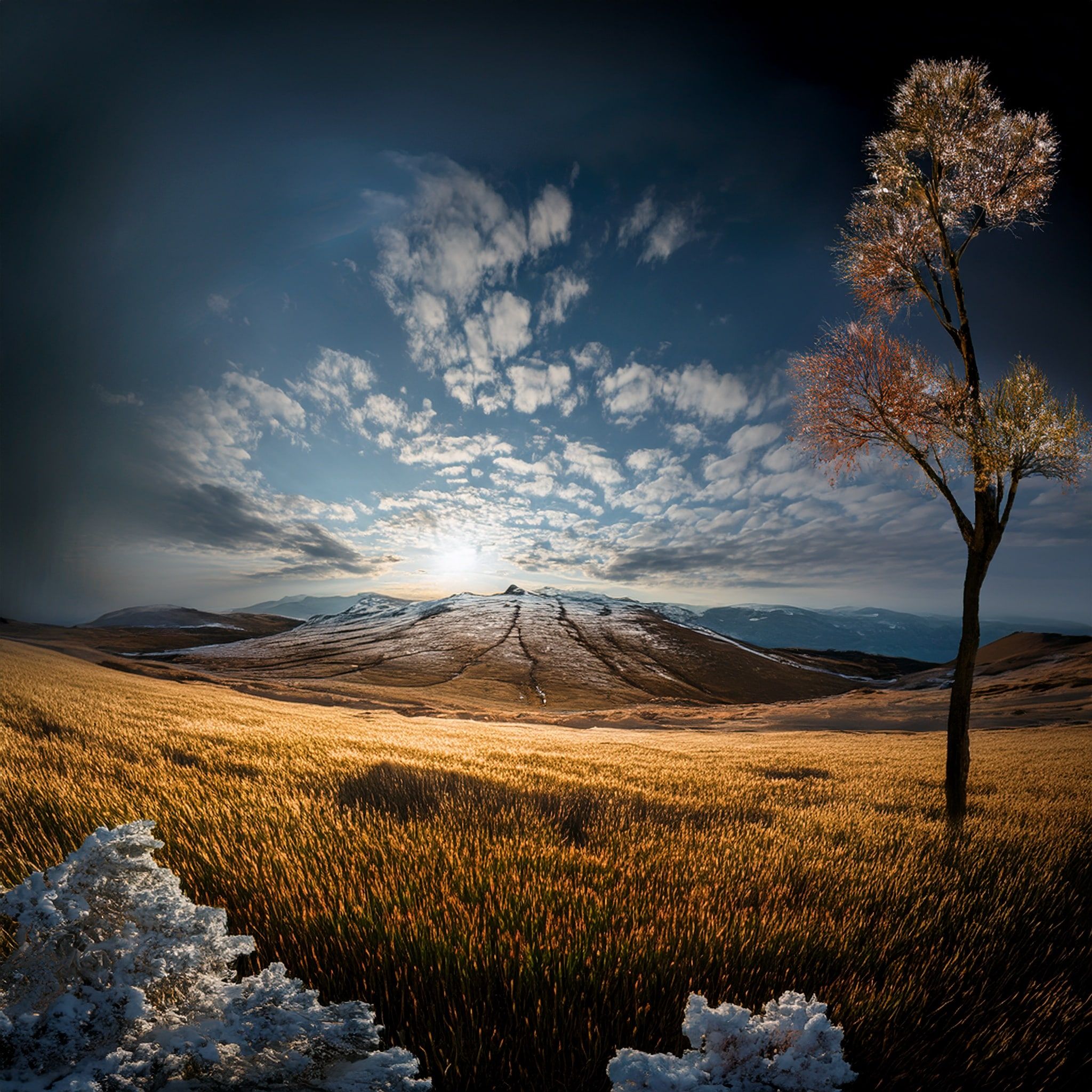 poesia bergamasca cosa ne sai?