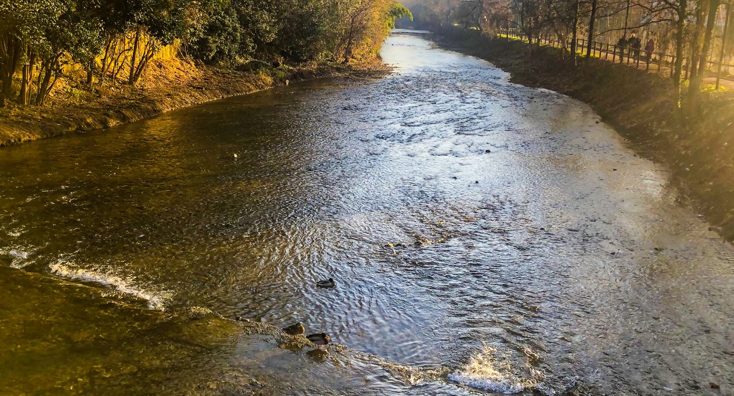 Non cambiamo il sesso alla Morla