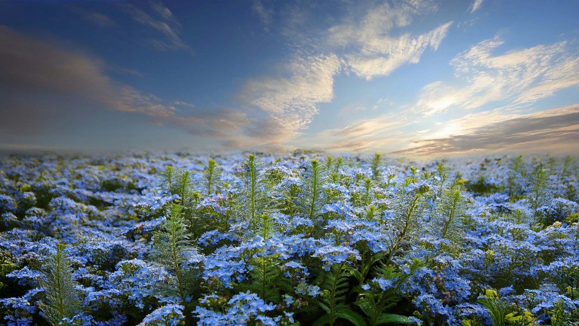 poesia bergamasca - Nontiscordàr