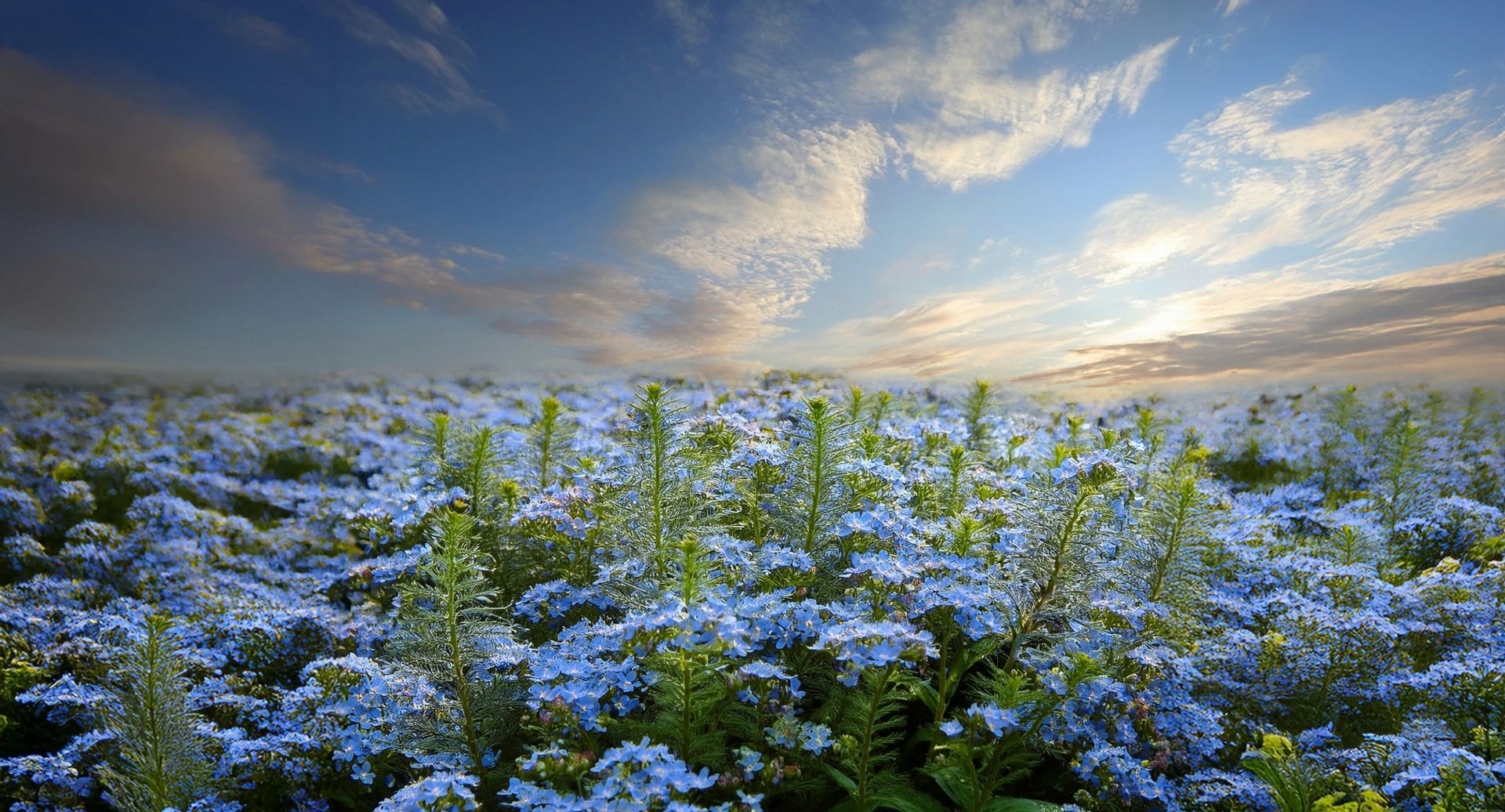 poesia bergamasca - Nontiscordàr