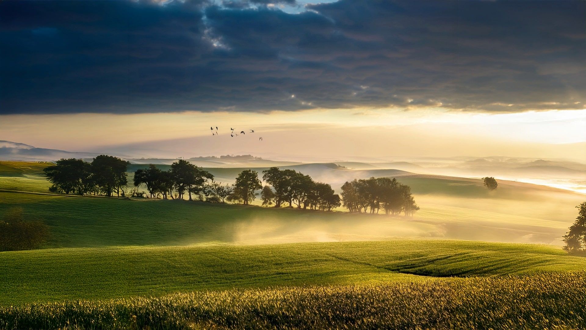 poesia bergamasca - Barlöm D’estàt