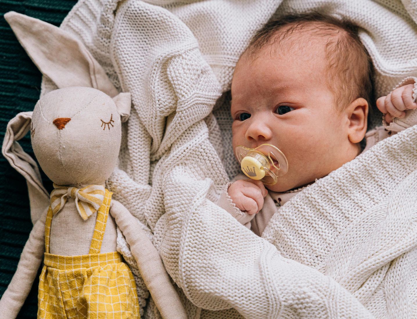 nascite in calo a bergamo