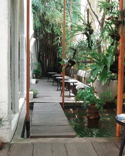 In-Door or Out-Door