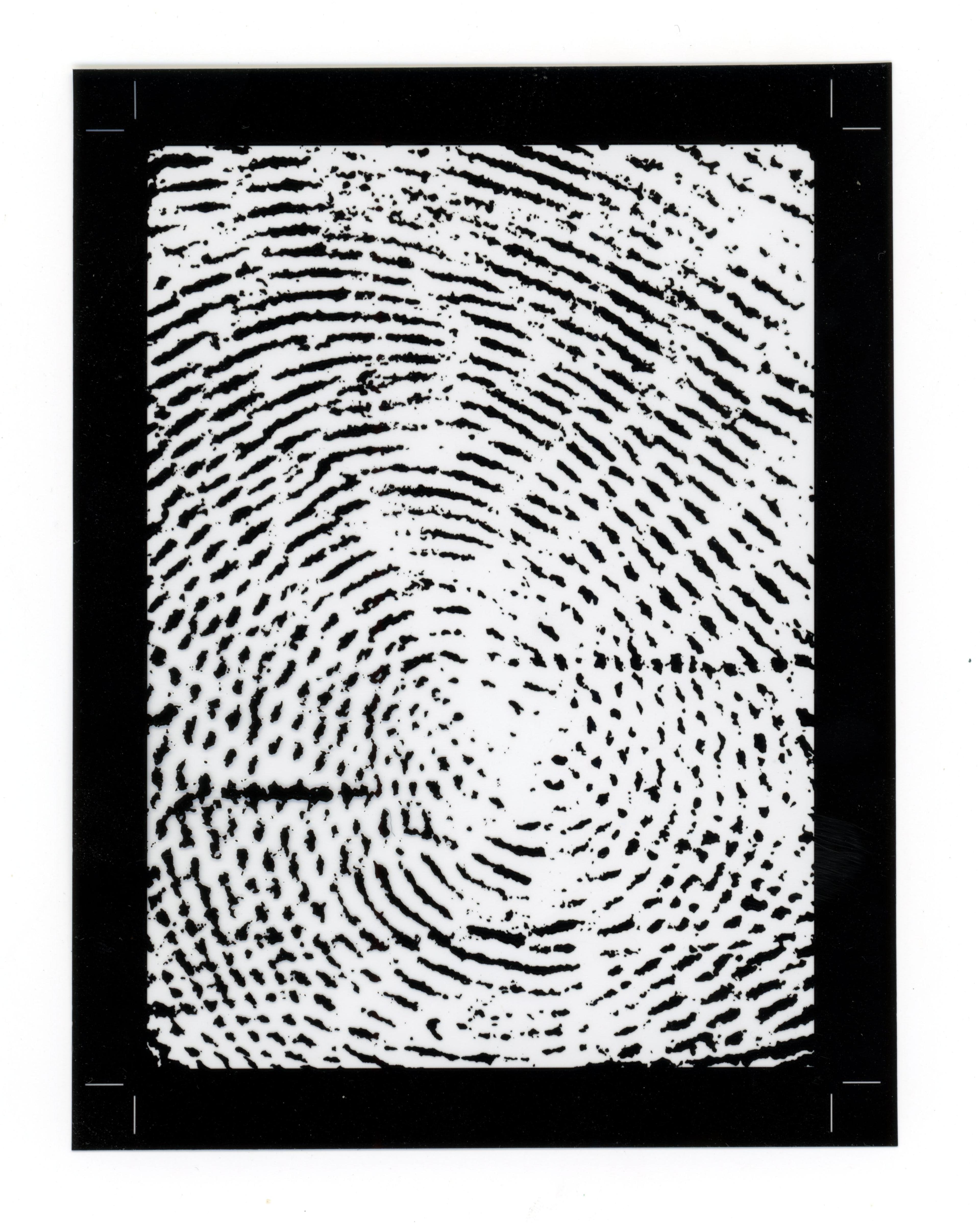 fingerprint artwork for Enji & Popp by Max Schachtner
