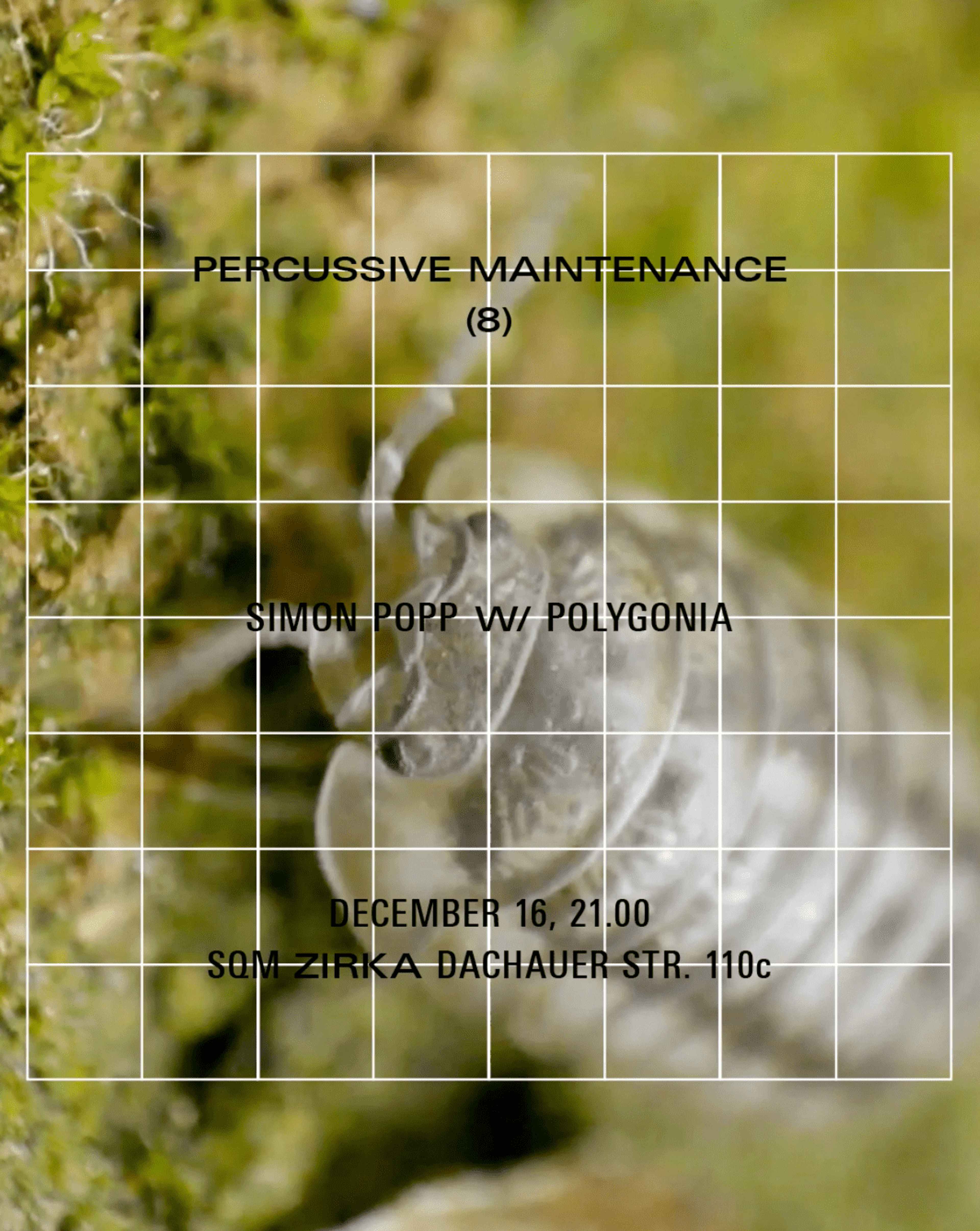 Concert Announcement Polygonia and Simon Popp live concert at Zirka Munich