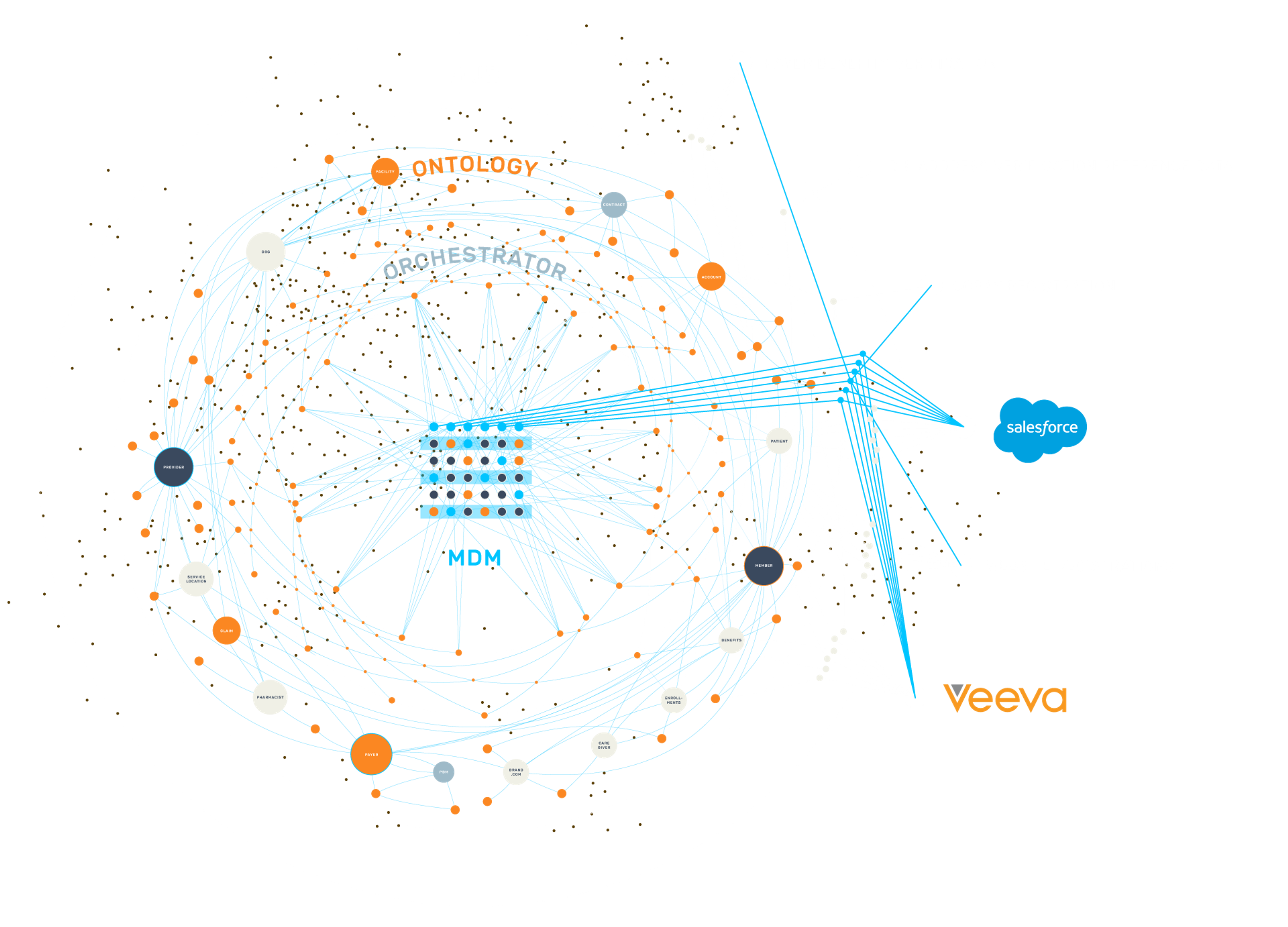 Patient Registry Diagram